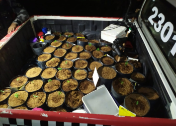 Polícia estoura laboratório de drogas em Parauapebas