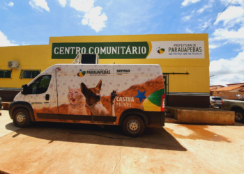 Castramóvel realiza procedimentos cirúrgicos em cães e gatos no  Vale do Sol