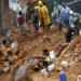 São Paulo já registra 28 mortes causadas pelas chuvas