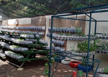 Marabá: Hospital Regional vai servir ceia especial de Natal aos pacientes e colaboradores