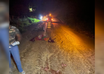 Caminhão desce ladeira e mata homem que o consertava