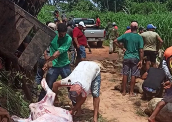 Santana do Araguaia: Carreta carregada de bois tomba e animais mortos são saqueados por populares