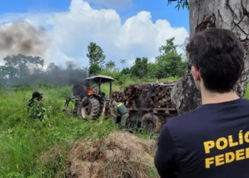 NOVA ESPERANÇA DO PIRIÁ – PF e Ibama deflagram operação contra extração ilegal de madeira