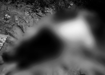 Homem é brutalmente assassinado a pauladas em Parauapebas