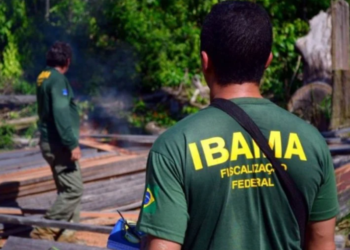 Concurso IBAMA: 568 vagas em todos os estados; ganhos de até R$ 8,5 mil