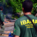 Concurso IBAMA: 568 vagas em todos os estados; ganhos de até R$ 8,5 mil