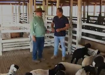 Dia de Campo sobre pequenos animais é destaque do Conexão Rural