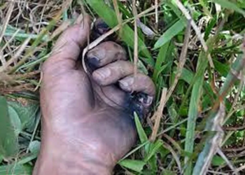 Homem morre eletrocutado quando trabalhava em perfuração de poço artesiano