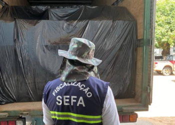 Mais de 140 mil equipamentos eletrônicos são apreendidos na BR-010