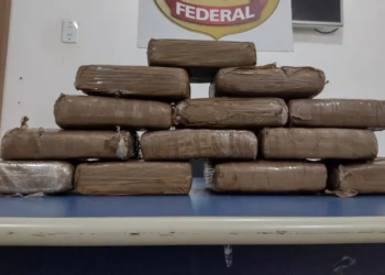 Homem é preso ao tentar embarcar com 21 quilos de skunk em rodoviária no Pará