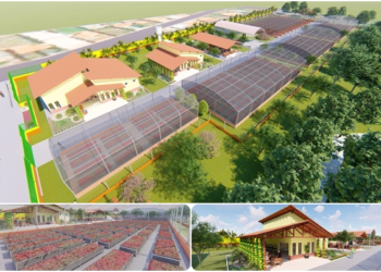 Construção do Complexo Florindo o Mundo será realidade em Parauapebas