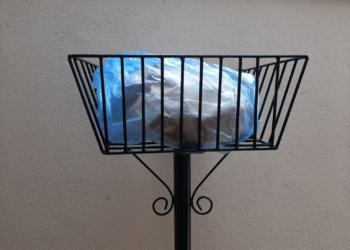 Homem vai reclamar com ‘valentão’ que chutou lixeira e acaba morto em Parauapebas