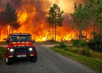 Incêndios florestais atingem França e Espanha em meio à onda de calor