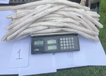 Batalhão de Operações de Policiais Especiais (BOPE) descarta 8 kg de explosivos em Parauapebas