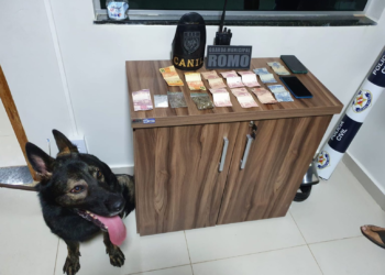 Com a ajuda de cão da Guarda Municipal, dois vão parar no xilindró em Parauapebas