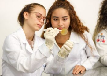 Desenvolvimentos inovadores são fortalecidos por investimentos do Governo do Estado no PCT Guamá