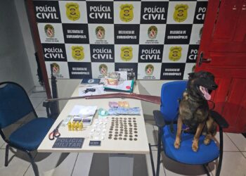 Polícia Militar faz buscas com apoio do Cão Policial Black e encontra ilícitos