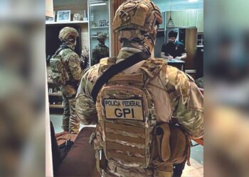 PF combate maiores desmatadores da Amazônia