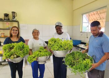 Estudantes da rede estadual participam da primeira colheita de horta escolar desenvolvida com recursos do Prodep