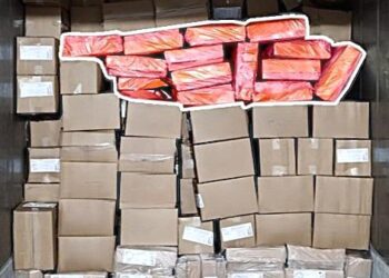 PF deflagra operação de combate ao tráfico transnacional de drogas ocultas em alimentos congelados