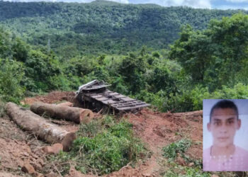 Toras de madeiras esmagam motorista de caminhão em Altamira