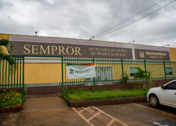 Prefeitura de Parauapebas abre seleção para produtores rurais em projeto de implantação de apiários