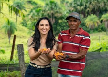 Curionópolis se destaca como maior produtor de cajá do Brasil