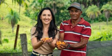 Curionópolis se destaca como maior produtor de cajá do Brasil